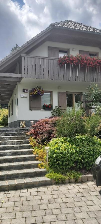 Apartma - Pocitniska Hisa Lodi Bohinj Exterior photo